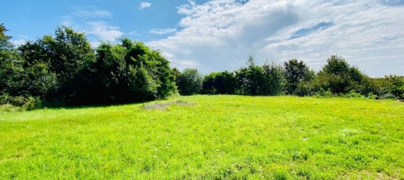 Lagerhaus in Saarpfalz, Germany 600m², Nr. 13601 9