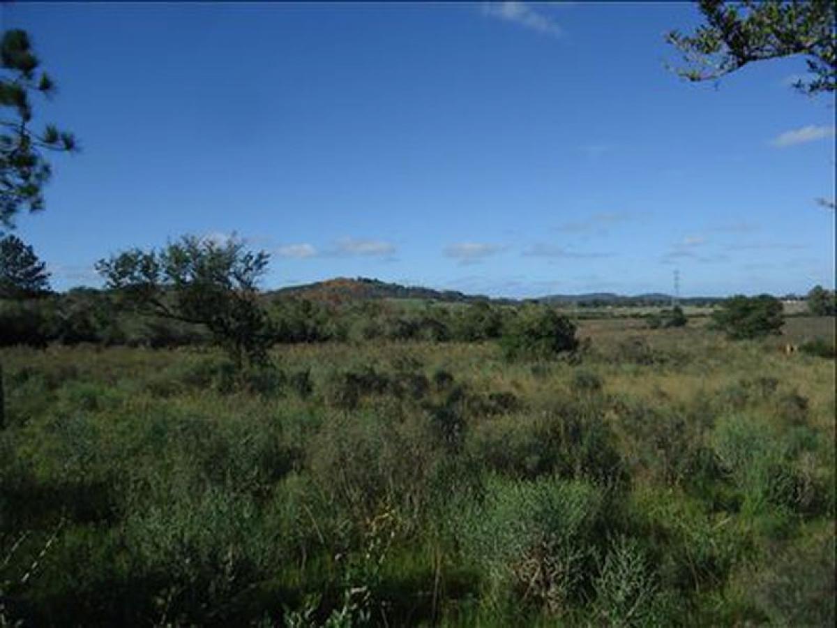 11m² Farm in Maldonado, Uruguay No. 15238