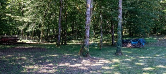 5 bedrooms Castles in Dordogne, France No. 335899 8