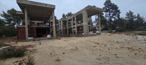 Gewerbliche Immobilien in Chalkidiki, Greece 1000m², Nr. 54018 3