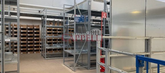 5غرفة مستودع في Forlimpopoli, Italy رقم 90119 19