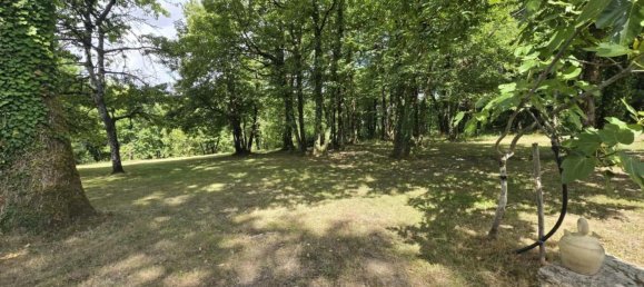 Дом с 4 спальнями в Шаранта, Франция № 303978 13