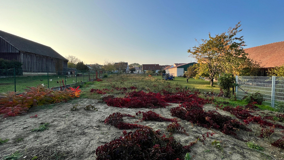  Land in Korneuburg, Austria No. 129615