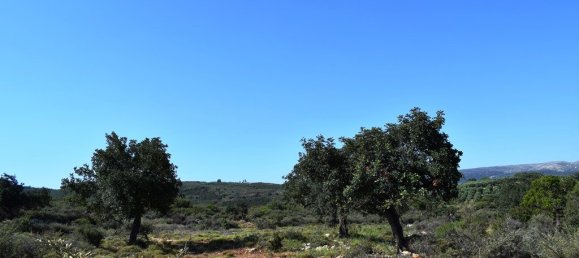 50000m² Hotel in Rethymno, Greece No. 5708 4