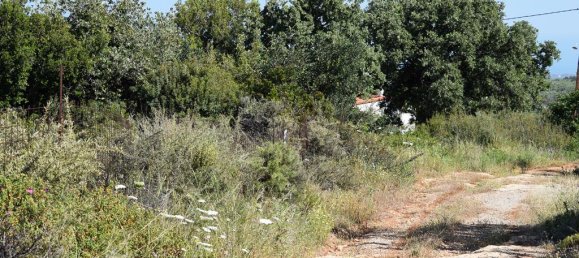 50000m² Hotel in Rethymno, Greece No. 5708 7