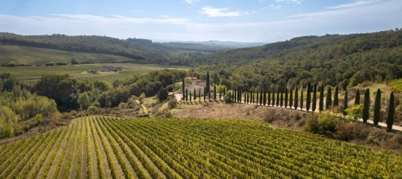 12 chambres Maison à Castelnuovo Berardenga, Italy No. 57576 45