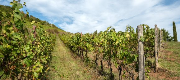 12 chambres Maison à Castelnuovo Berardenga, Italy No. 57576 42