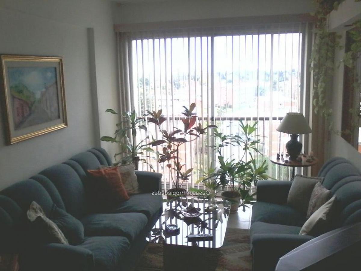 3 غرف نوم شقة في Montevideo, Uruguay رقم 12492