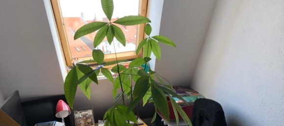 Dúplex de 12 dormitorios en Lower Saxony, Germany No. 222547 17