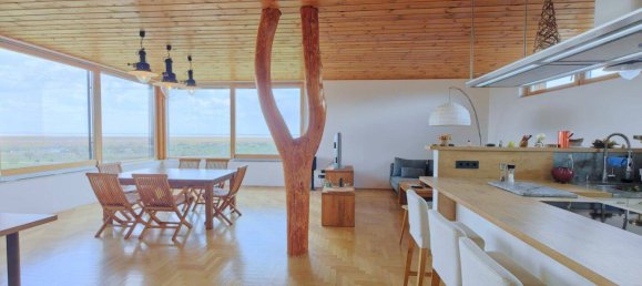 3 rooms House in Morbisch am See, Austria No. 140173 2