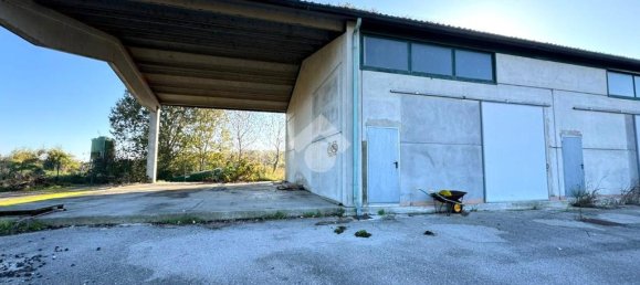 1 room Warehouse in Chioggia, Italy No. 60112 8
