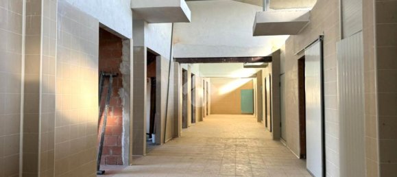1 room Warehouse in Chioggia, Italy No. 60112 6