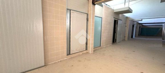 1 room Warehouse in Chioggia, Italy No. 60112 13