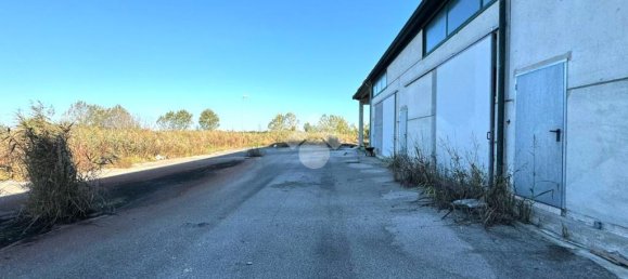 1 room Warehouse in Chioggia, Italy No. 60112 9
