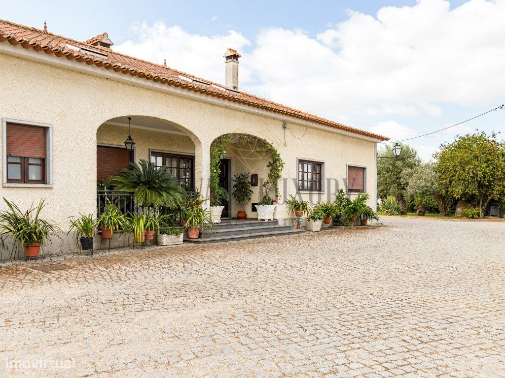 4 غرف نوم منزل في Montemor o Novo, Portugal رقم 317073