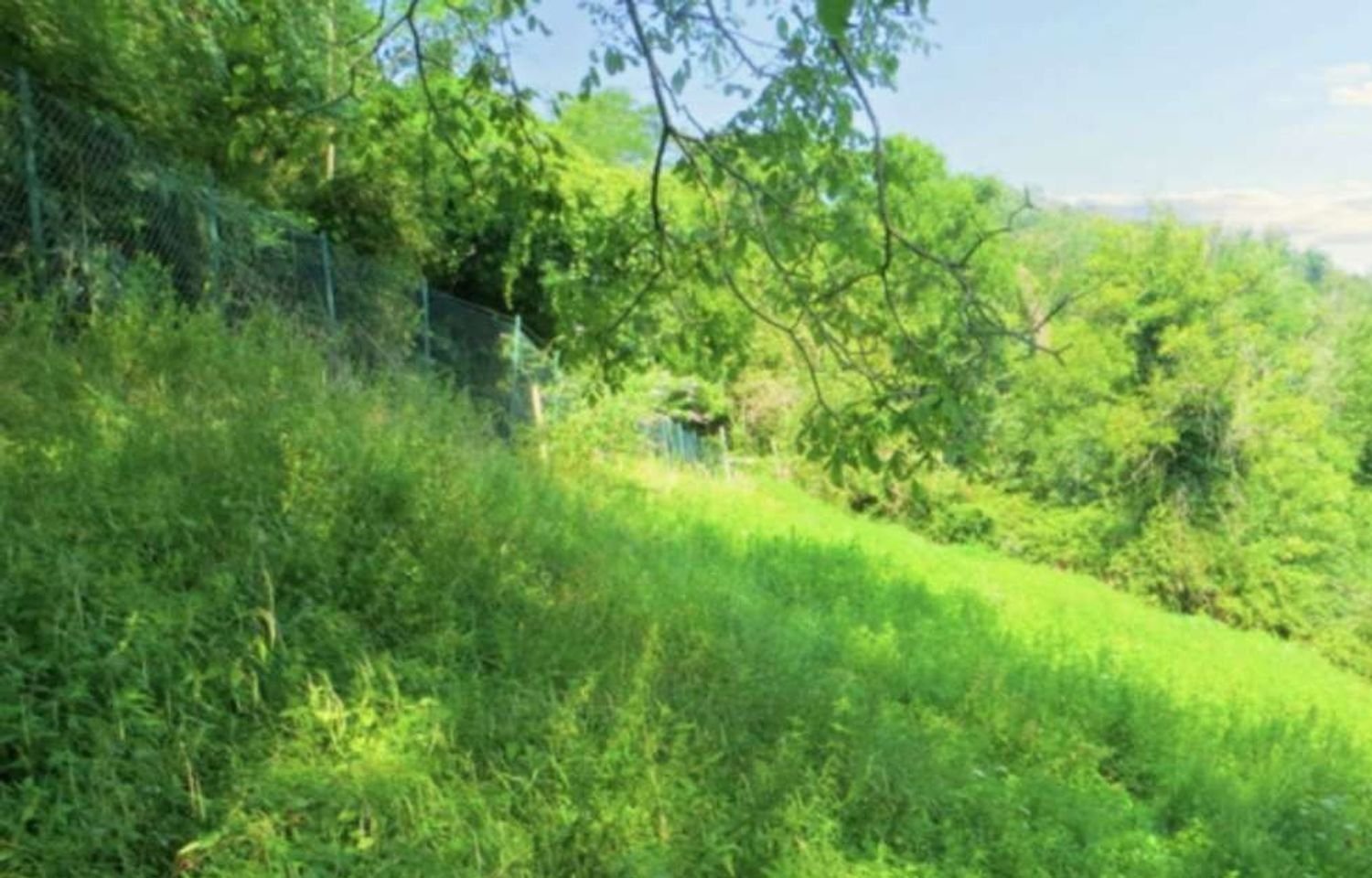 Земельный участок в Вальгрегентино, Италия № 393240