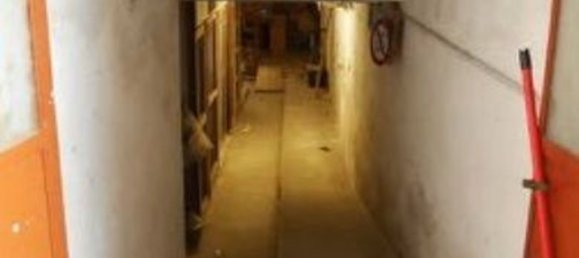 3-Zimmer Wohnung in Quarto d'Altino, Italy, Nr. 11236 11