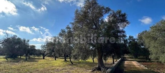 2 bedrooms House in Ostuni, Italy No. 345476 9