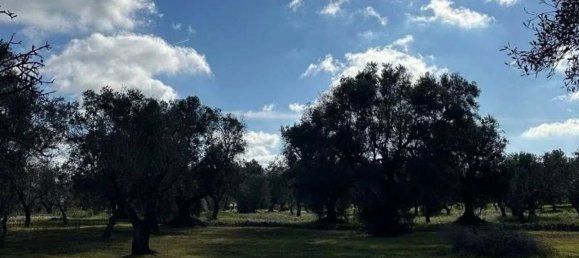 2 bedrooms House in Ostuni, Italy No. 345476 8