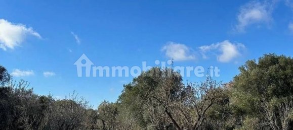 2 bedrooms House in Ostuni, Italy No. 345476 7