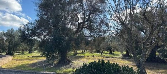 2 bedrooms House in Ostuni, Italy No. 345476 6