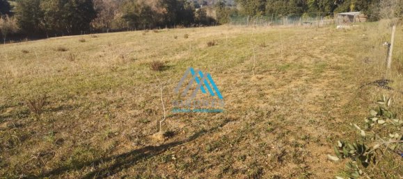 Terreno en Palamós, Spain 7820 m² No. 191217 4