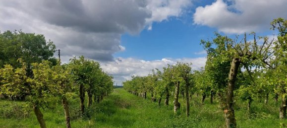 9 bedrooms House in Morienval, France No. 216492 10