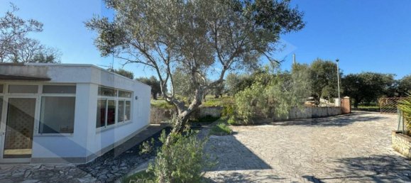 4-Zimmer Villa in Monopoli, Italy, Nr. 17388 5