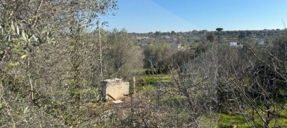 4-Zimmer Villa in Monopoli, Italy, Nr. 17388 25