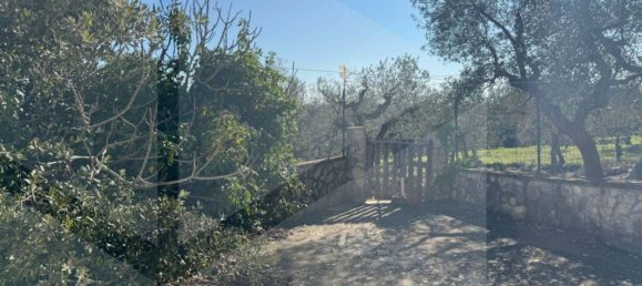 4-Zimmer Villa in Monopoli, Italy, Nr. 17388 22