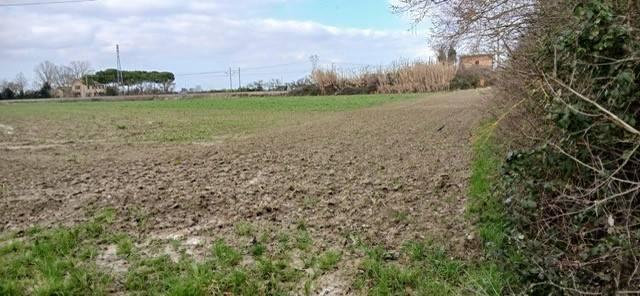 28500m² Land in Ravenna, Italy No. 39276
