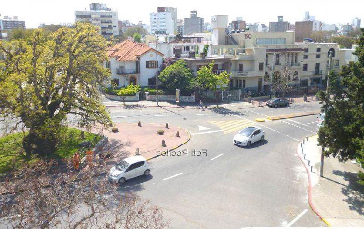 5 bedrooms House in Montevideo, Uruguay No. 11856