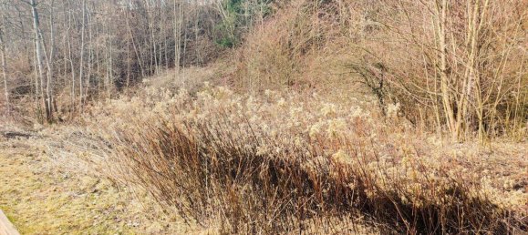  Land in Knittelfeld, Austria No. 153472 7