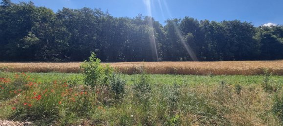455m² Land in Rombas, France No. 328352 2