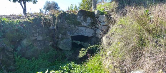  Land in Viseu, Portugal No. 69823 3