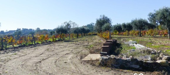  Land in Viseu, Portugal No. 69823 12