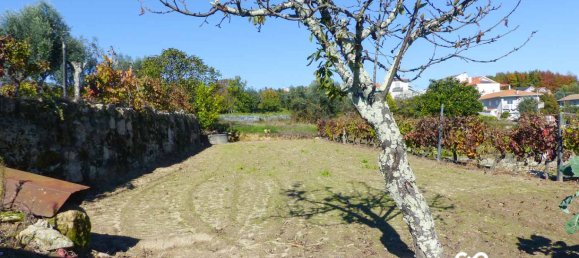  Land in Viseu, Portugal No. 69823 5