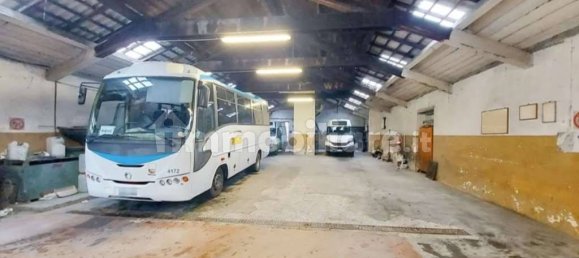 5غرفة مستودع في Pieve di Teco, Italy رقم 68564 7