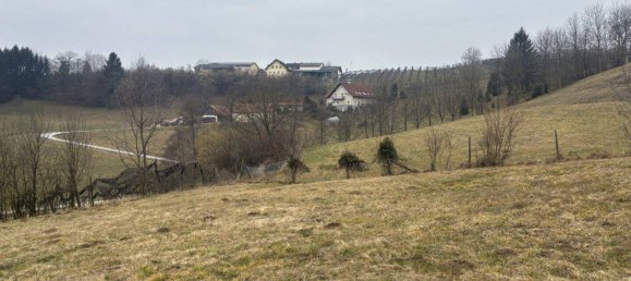 Коммерческая недвижимость с 4 комнатами в Эггерсдорф бай Грац, Австрия № 178724 21