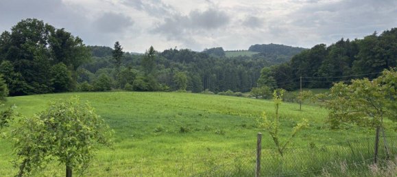 Коммерческая недвижимость с 4 комнатами в Эггерсдорф бай Грац, Австрия № 178724 2