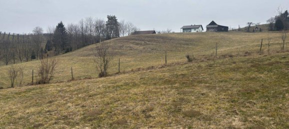 Коммерческая недвижимость с 4 комнатами в Эггерсдорф бай Грац, Австрия № 178724 20