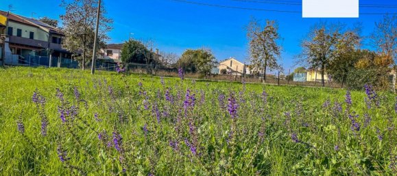 1600m² Land in Ospedaletto Euganeo, Italy No. 179552 10