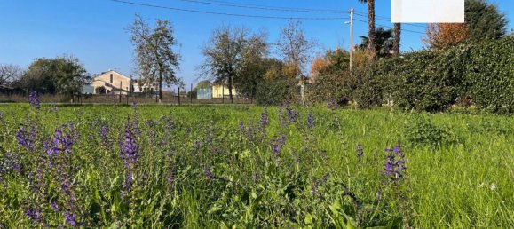 1600m² Land in Ospedaletto Euganeo, Italy No. 179552 9