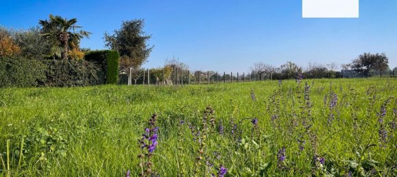 1600m² Land in Ospedaletto Euganeo, Italy No. 179552 3