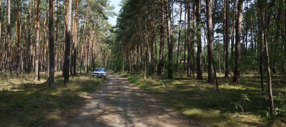 Grundstück in Potsdam-Mittelmark, Germany, Nr. 99613 26