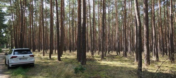 Grundstück in Potsdam-Mittelmark, Germany, Nr. 99613 21