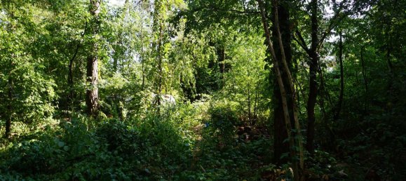 Grundstück in Potsdam-Mittelmark, Germany, Nr. 99613 7