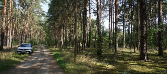 Grundstück in Potsdam-Mittelmark, Germany, Nr. 99613 20