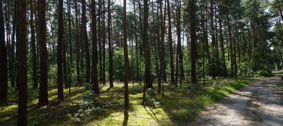 Grundstück in Potsdam-Mittelmark, Germany, Nr. 99613 25