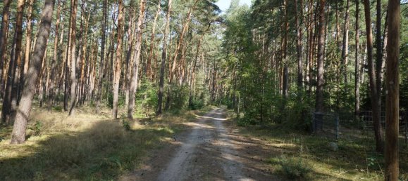 Grundstück in Potsdam-Mittelmark, Germany, Nr. 99613 24